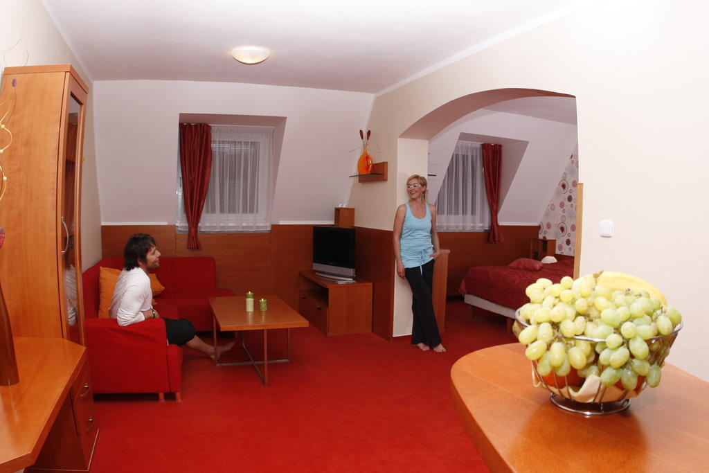 Wellness Hotel Diana Velké Losiny Room photo